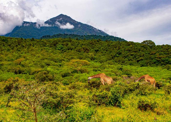 arusha-national-park