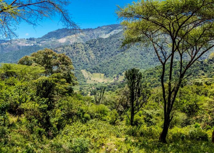 kakamega-forest-national-reserve