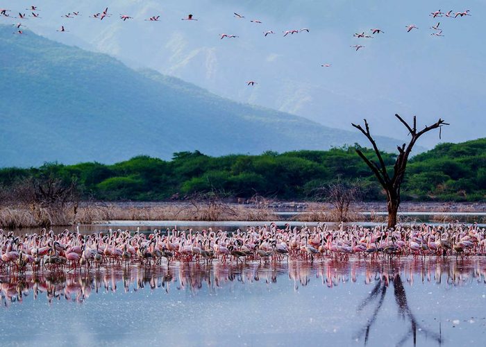 lake-bogoria-national-park