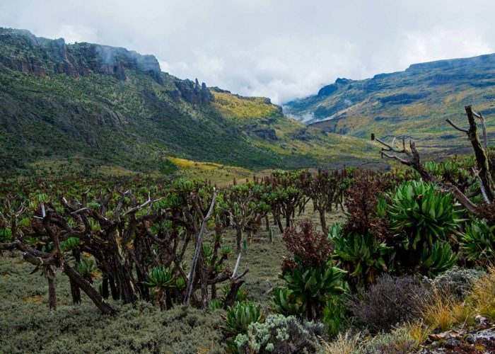 view-of-mount-elgon-national-park