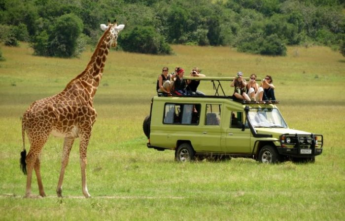 7 Days Tarangire, Serengeti, Ngorongoro Safari Package