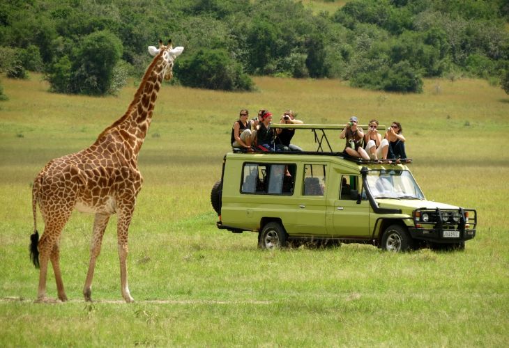 7 Days Tarangire, Serengeti, Ngorongoro Safari Package