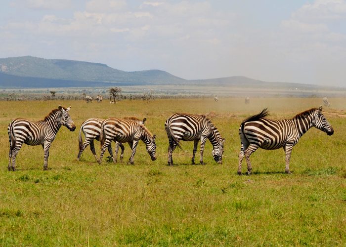 11-days-kenya-tanzania-maasai-mara-and-serengeti-holiday