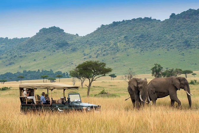 5 Days Amboseli and Tsavo West Luxury Kenya Vacations