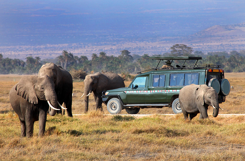 4 Days Safari Trip in Kenya High