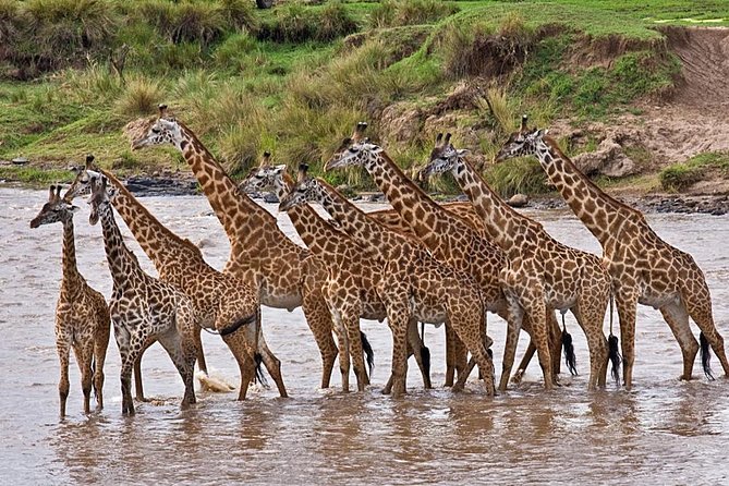 4 Days Tsavo East and Tsavo West Safari Tour