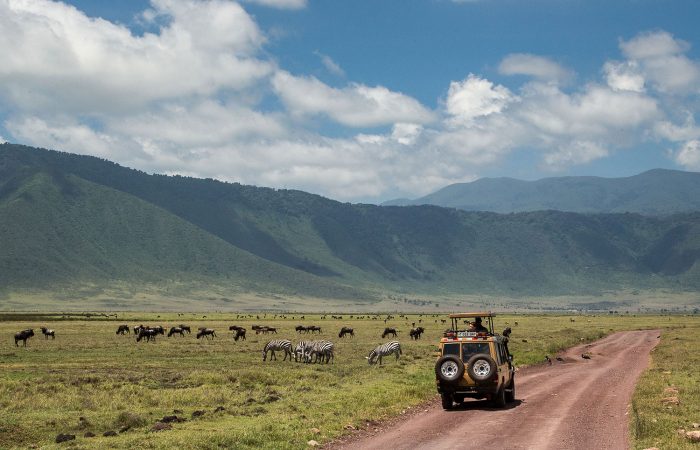 9-Day Tanzania Safari & Day Hike