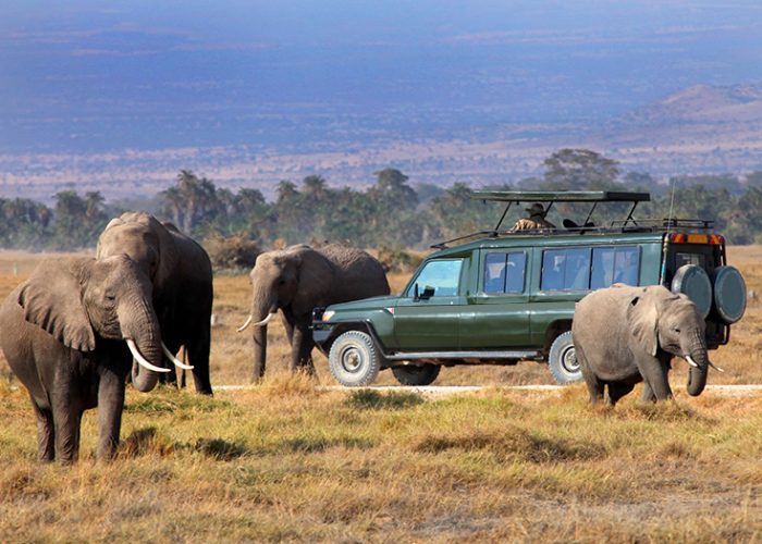 6 Days African Safari Tour Kenya and Tanzania