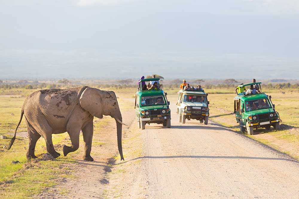 7 Days Kenya Safari Tours and Holidays
