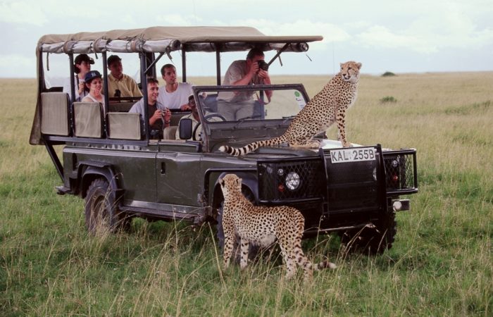 7 Days Kenya Wildlife Safaris