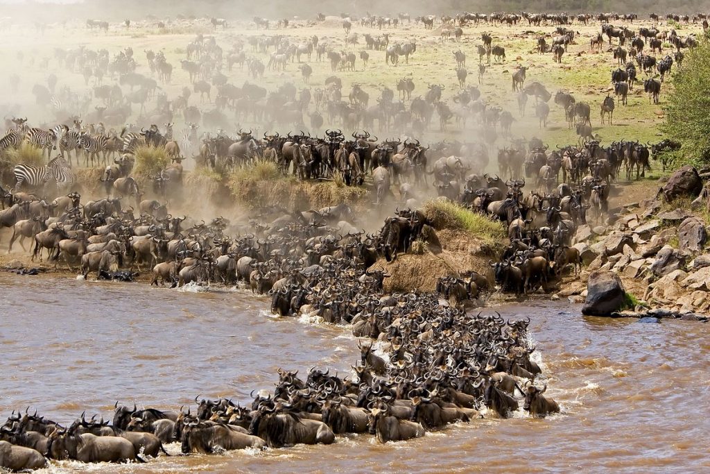 7-Day Serengeti Mara River Crossing