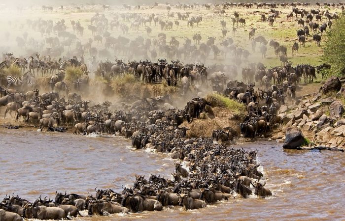 7-Day Serengeti Mara River Crossing