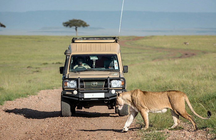 6 Days Amboseli Naivasha & Maasai Mara Luxury