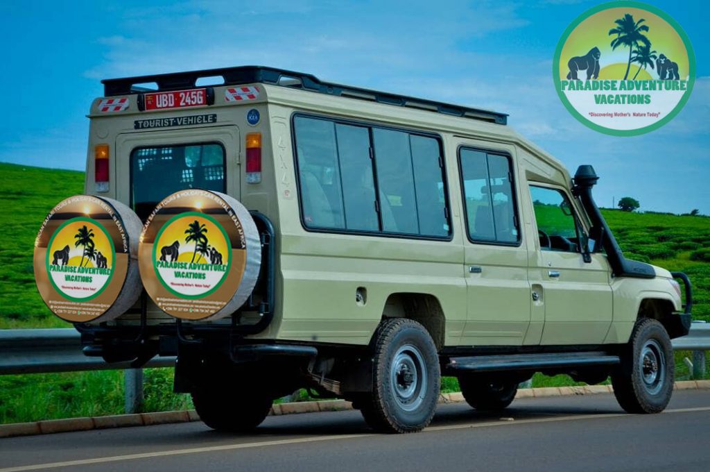 10 Days Mountain Rwenzori Trekking & Hiking Adventure