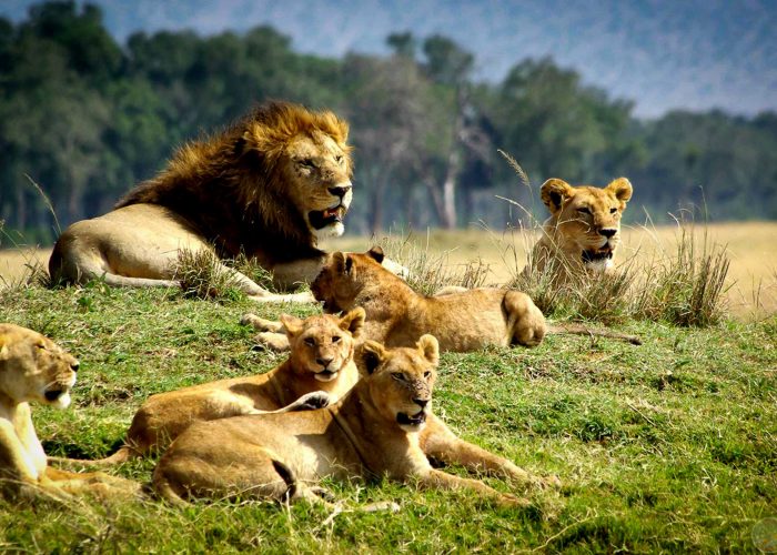 chyulu-hills-national-park