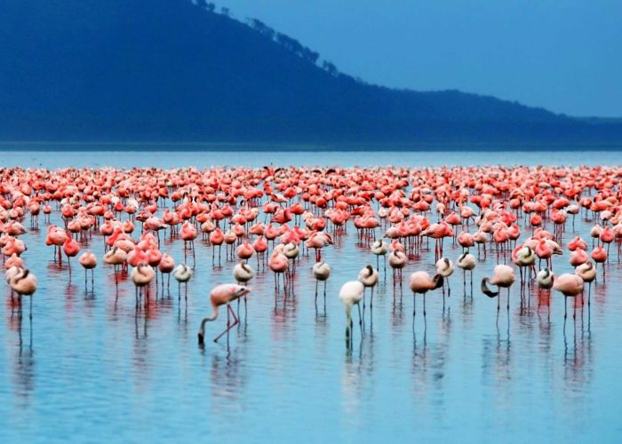 lake-nakuru-national-park