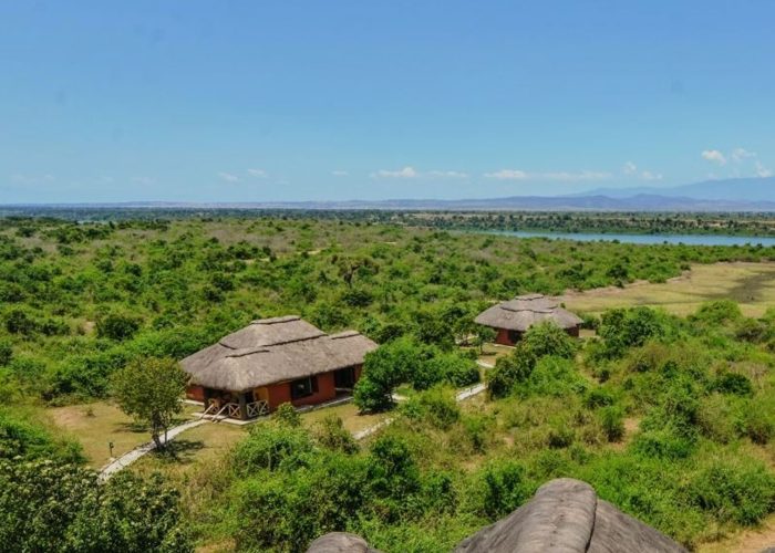 Buffalo-Safari-Lodge