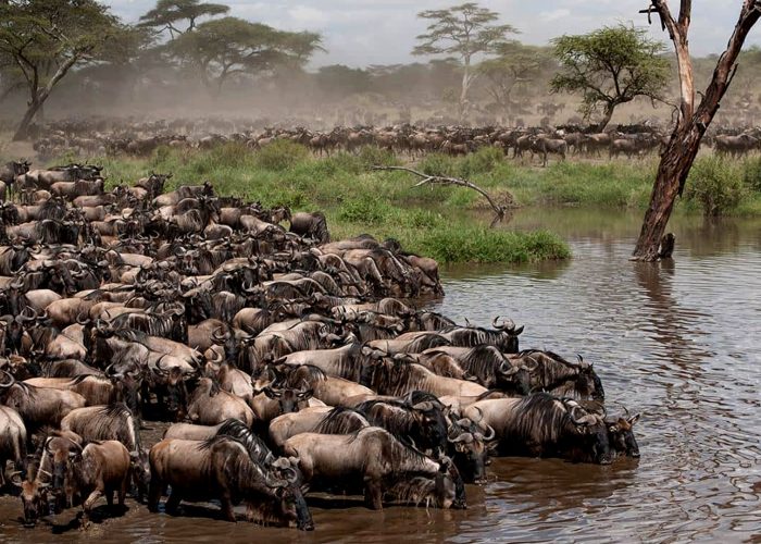 grumeti-game-reserve