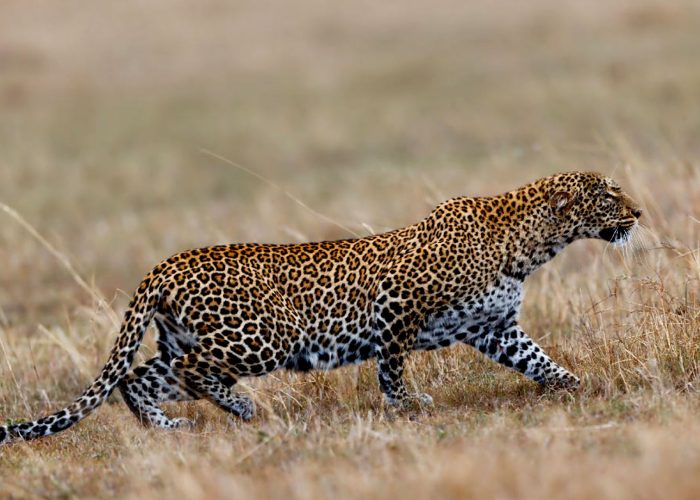 ibanda-kyerwa-national-park