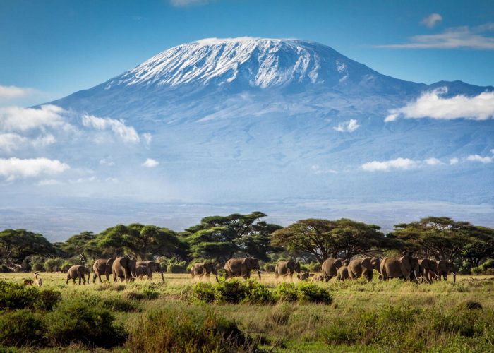 kilimanjaro-national-park