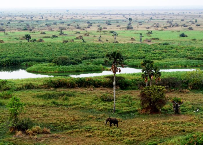 moyowosi-game-reserve
