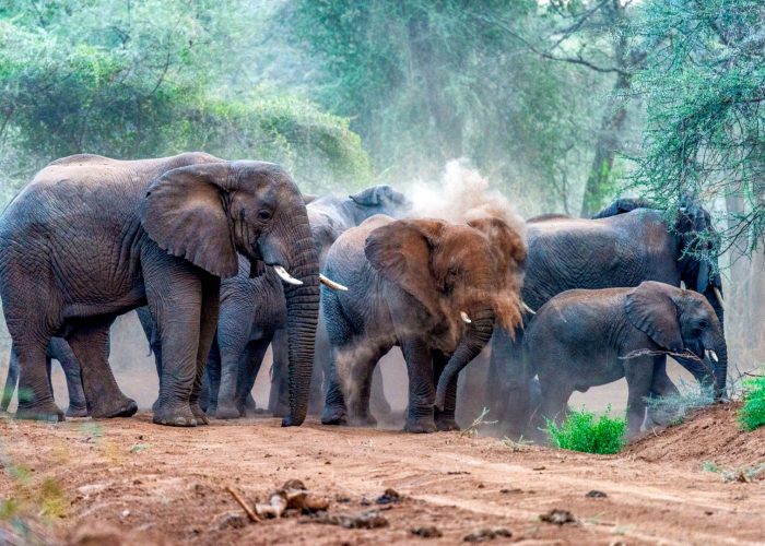 rimoi-national-reserve
