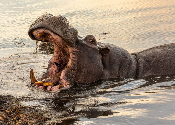 rukwa-game-reserve