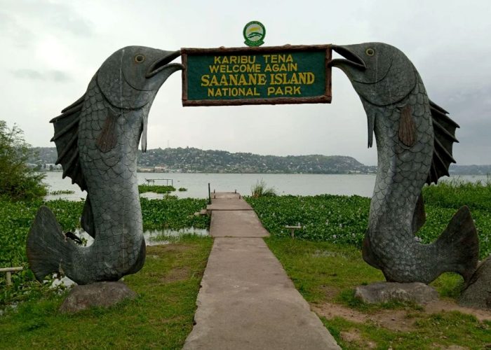 saanane-island-national-park