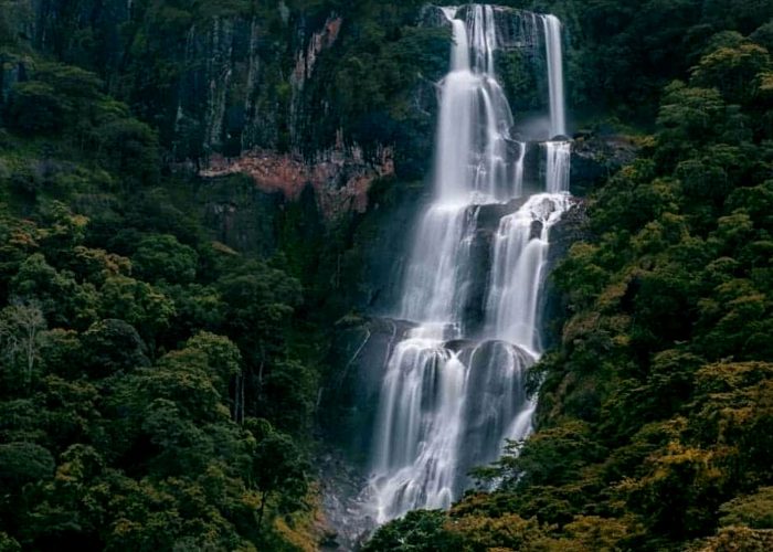 udzungwa-mountains-national-park