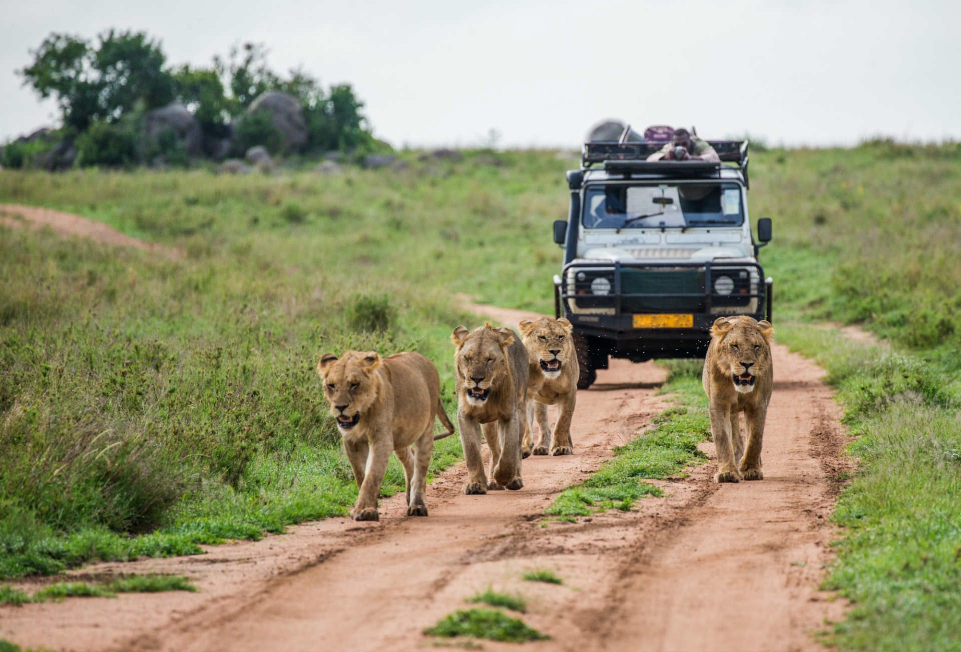 18 Day Southern Africa Safari Experience - Paradise Adventure Vacations